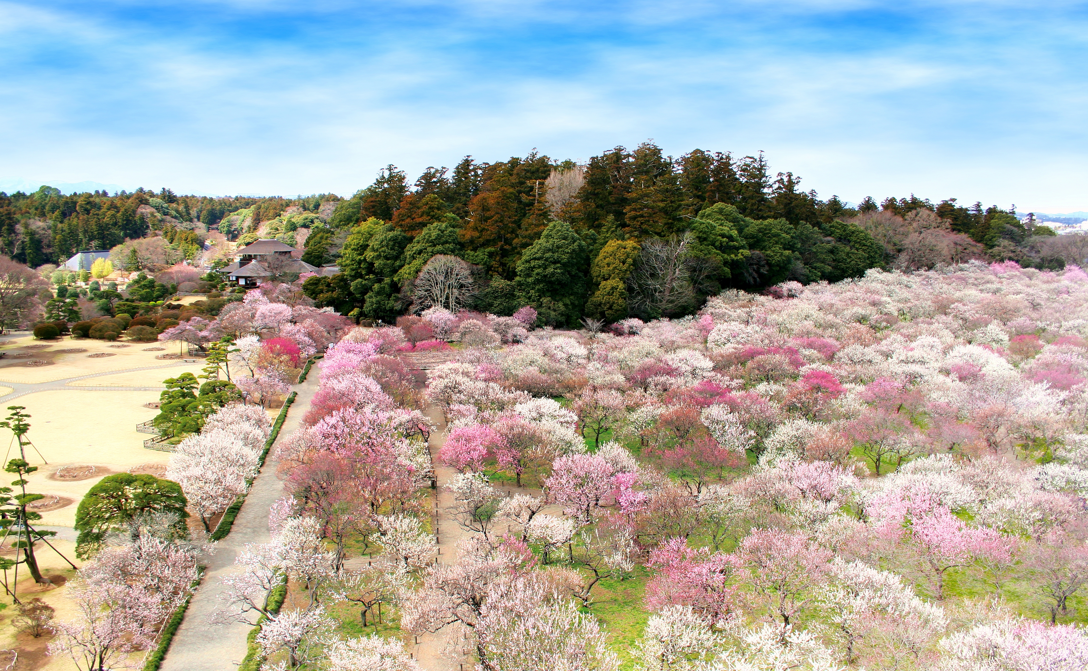 1偕楽園(梅まつり)